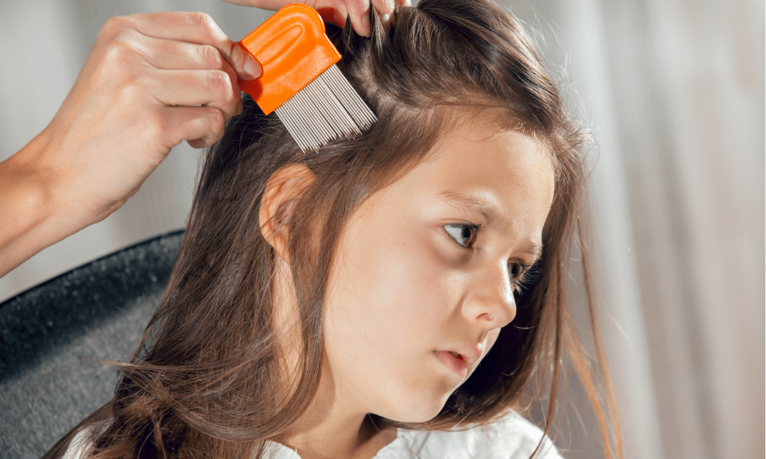 Treat Head Lice in Inverness Dalneigh Pharmacy